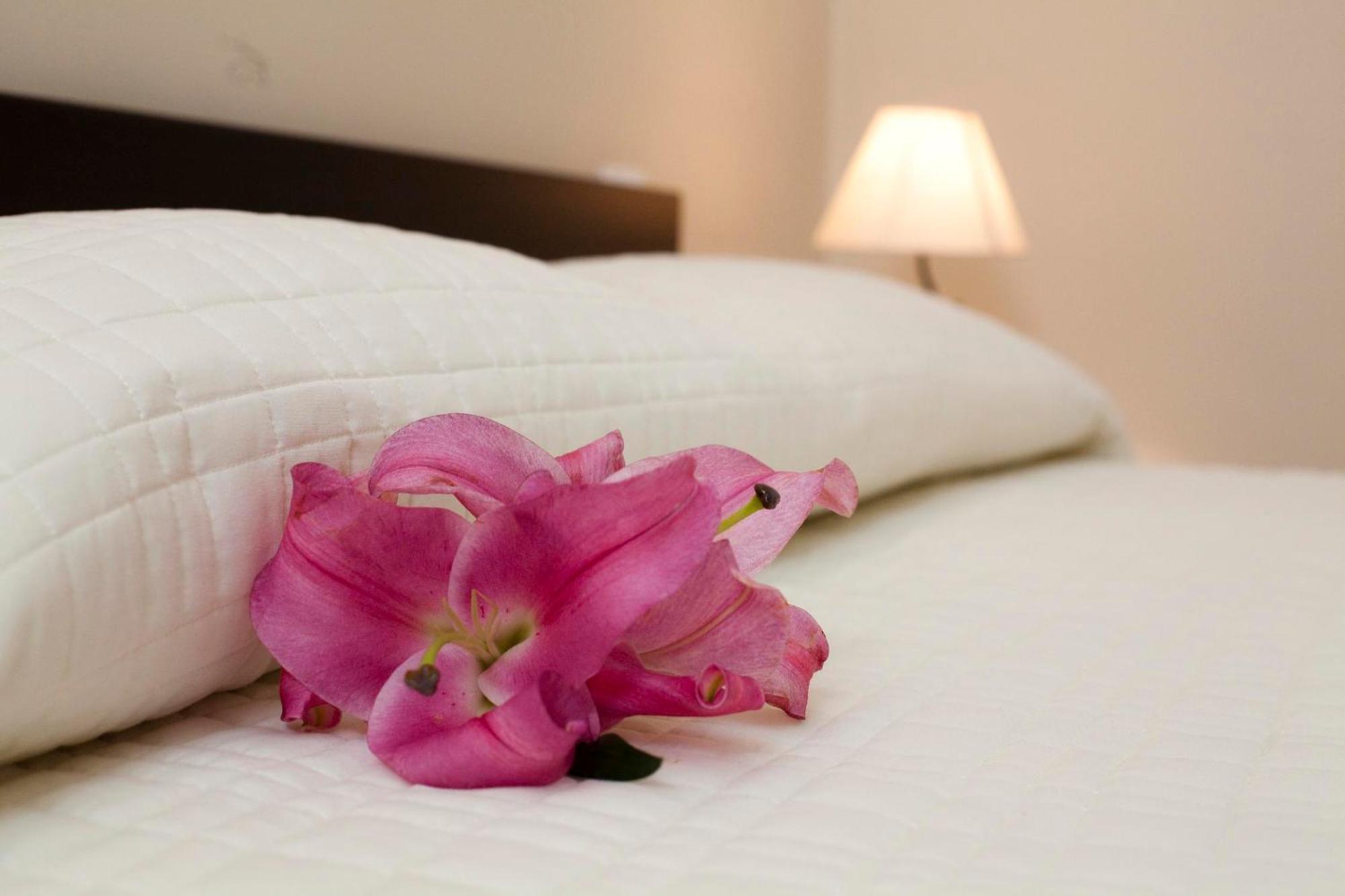 Antiche Volte Bed & Breakfast คาตาเนีย ภายนอก รูปภาพ